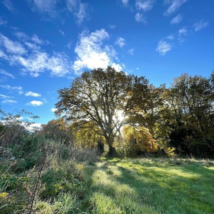 Superbe Maison De Campagne A Deux Pas De Nantes Treillières Exterior foto